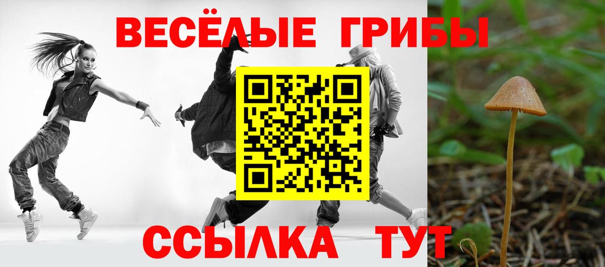 Псилоцибиновые грибы прущие грибы Альметьевск